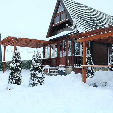 Zlatibor Brvnara Mir别墅 外观 照片