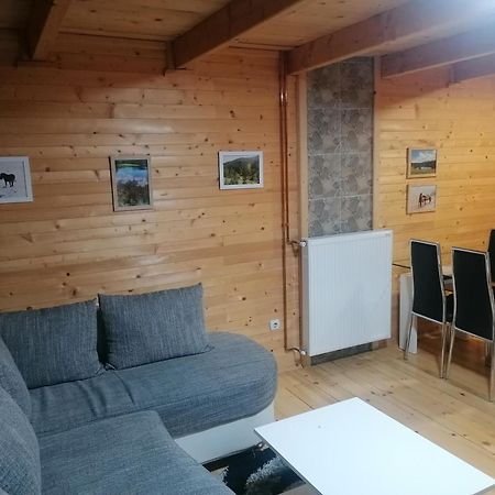 Zlatibor Brvnara Mir别墅 外观 照片